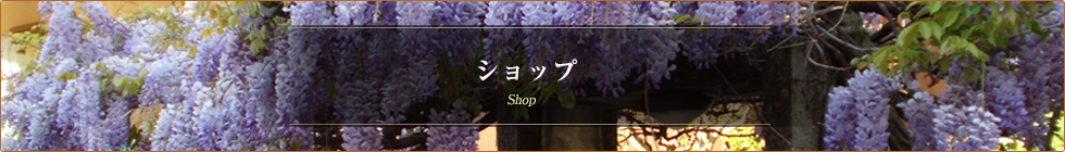 WEB SHOP