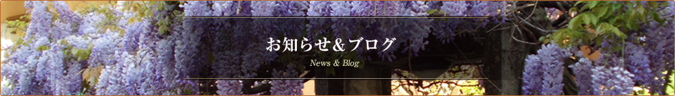 髪結い亭主の徒然なるままに・・・10年ぶりのフィレンツェ